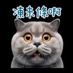 起肖貓貓★台語卡唬爛!