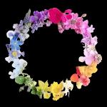 کیسے ہو عنان