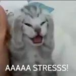 kalau kita
buat
salah kita
mintak
maaf
ek!..