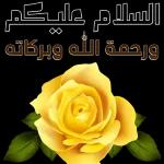 شرح الله صدوركم ورضي عنكم ويسرلكم جميع أموركم