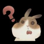 邦妮蓓蓓的日常生活