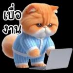 แมวขี้โมโหในชุดนอนสีอ่อน