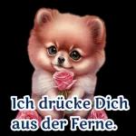 guten morgen