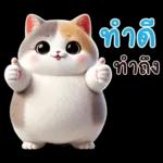 ดู สภาพ