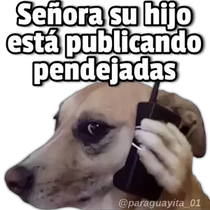 qtZFcB