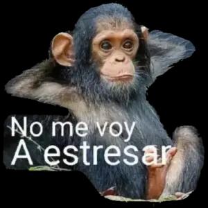 No me voy A estresar - getsticker.com