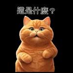 可愛的橘色肥貓!