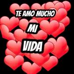 Te amo, eres mi todo.