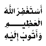 Look at this cool bug I found!