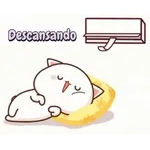 Neta?