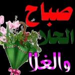 ملصقات 