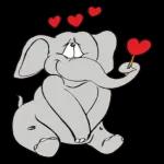 Niedlicher Elefant😍😍