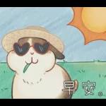 邦妮蓓蓓的日常生活