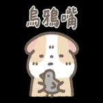 天竺鼠布丁～～超可愛鴨
