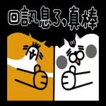 就是醬子喵-內有壞貓 八七來過招
