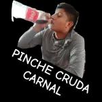 Estoy de acuerdo