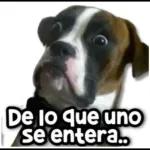 De lo que uno se entera..