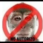 tiernos