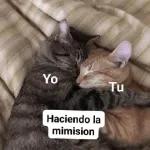 no escucho soy ciego