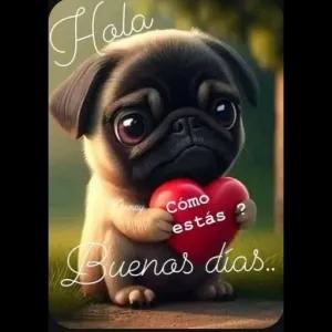msnq17