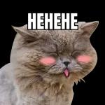 Que tengas un buen mediodía.