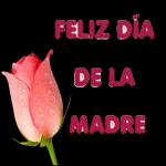 Feliz día de la Madre