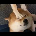 Qué se sentirá ser feo?