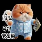 แมวขี้โมโหในชุดนอนสีอ่อน