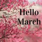 bye February hello March