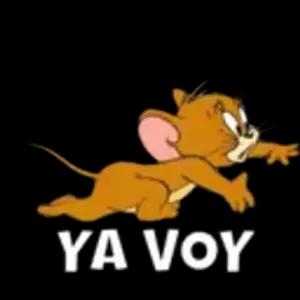 Ya voy - getsticker.com