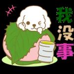 白貴賓犬表情包