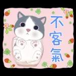 懶貓家族12 小太陽和家人-甜蜜草莓篇