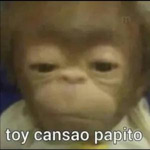 Fe0KF0
