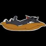 Tom and Jerry
                            Liza Fomushkina