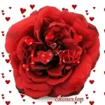 ¡Día nuevo, energía full! 🔥