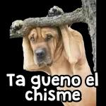 HOLA NEGROS 😮‍💨 😤