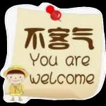 morning