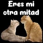 Así como dice la chaviza!!