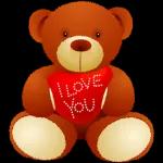 cute bear❤️❤️