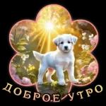 ДОБРОЕ УТРО