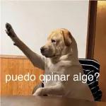 que chistosa es la gente color carton