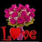 love and rose