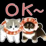 柴柴與貓咪 pack2