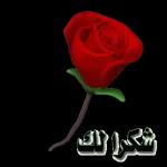 لا حول ولا قوة إلا بالله