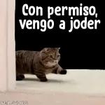 jorge 4