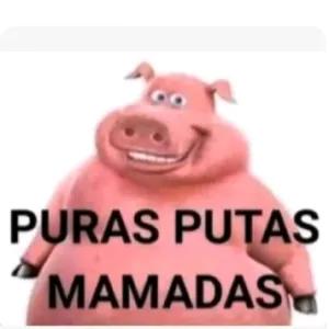 Vstgrd