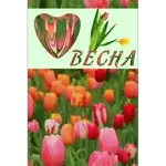 ура
