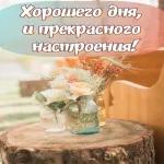 спокойной ночи 