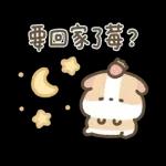 Hello Kitty 50週年 x 天竺鼠布丁 溫暖日常