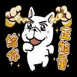 [豆卡频道-声动贴10(茶宝丸日常篇)